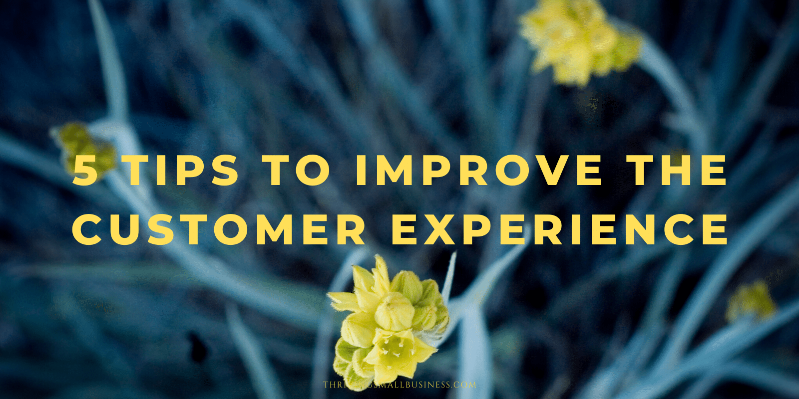 如何改善客户体验